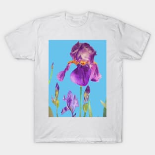 Iris Watercolor Painting - Elegant Purple on Blue T-Shirt